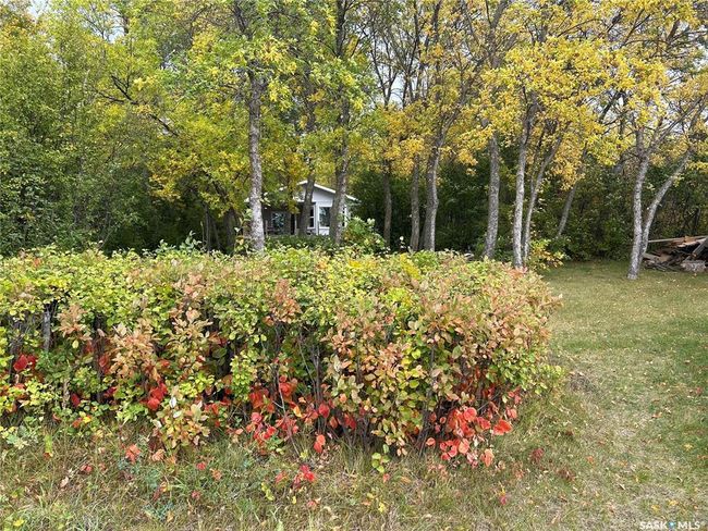 142 Garwell Drive, House other with 3 bedrooms, 1 bathrooms and 5 parking in Dufferin Rm No. 190 SK | Image 29