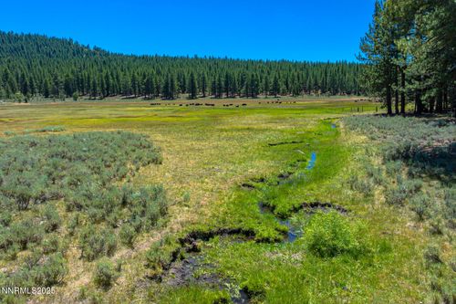 XXX Smithneck Rd, Loyalton, CA, 96118 | Card Image