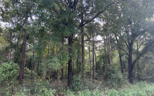 TBD 198th Ter, O Brien, FL, 32071 | Card Image