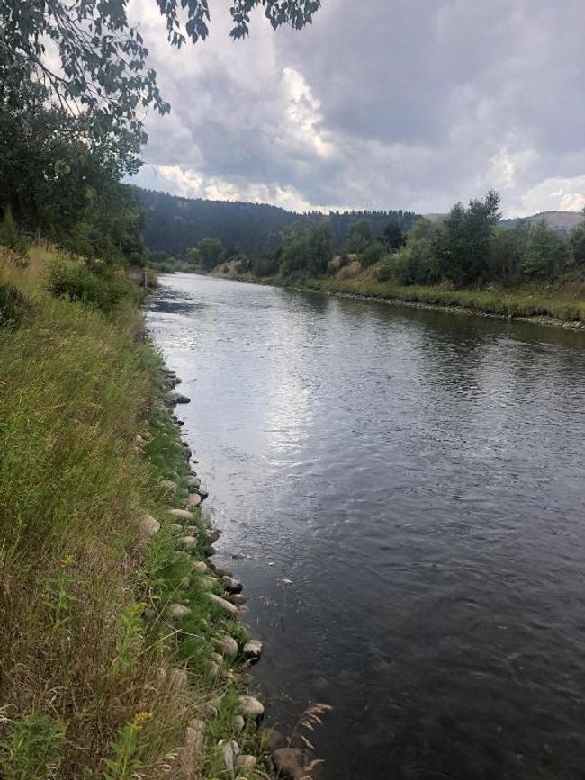 6 | Image 6
