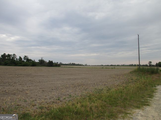 08600022T1 Red Bird Rd, Home with 0 bedrooms, 0 bathrooms and null parking in Lumber City GA | Image 4