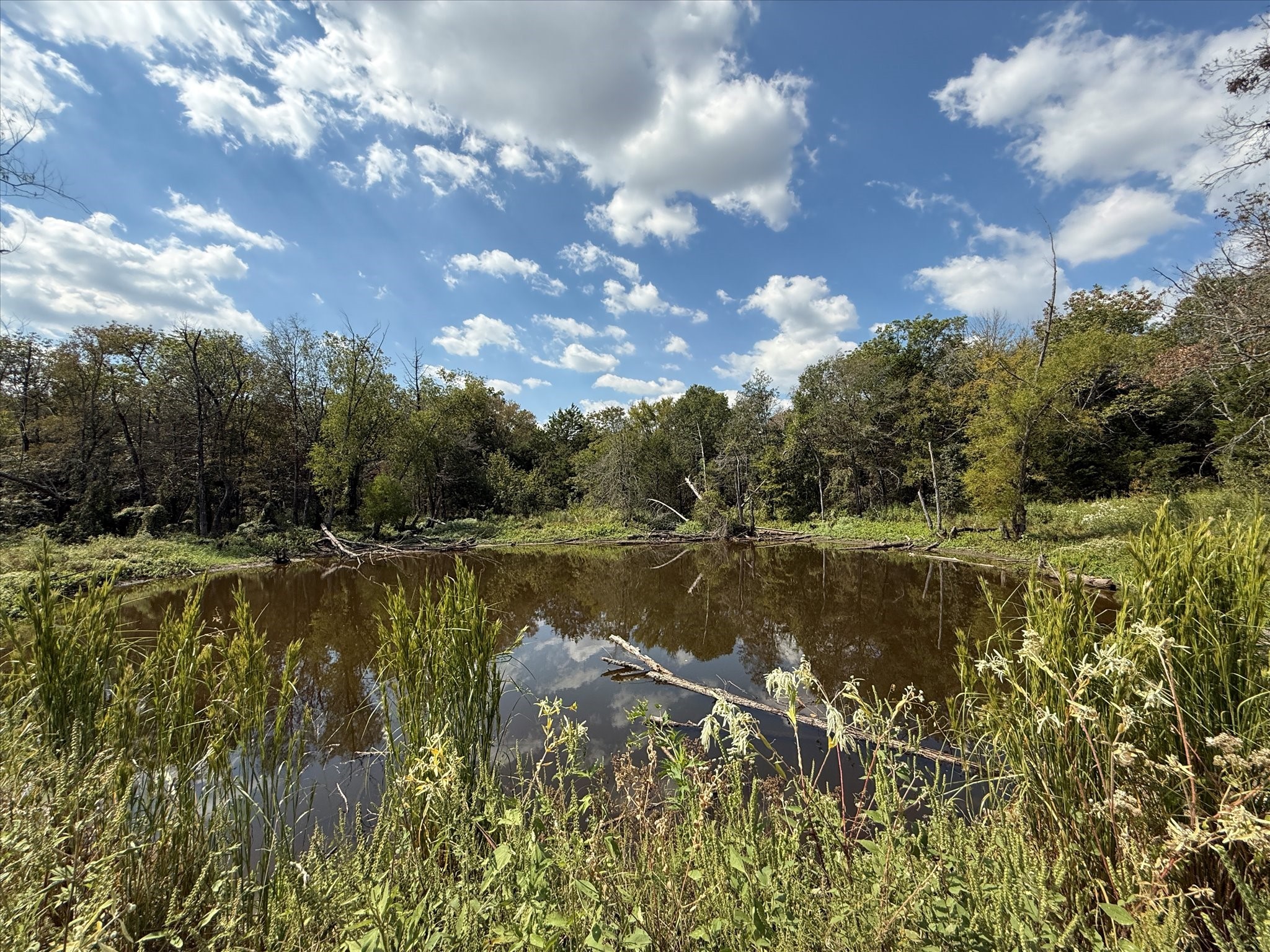 Land in Terrell 4