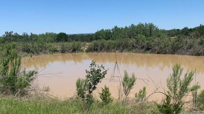 Pond when it was full | Image 32
