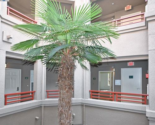 unit-221-280 Caldecott Ln, Oakland, CA, 94618-2417 | Card Image