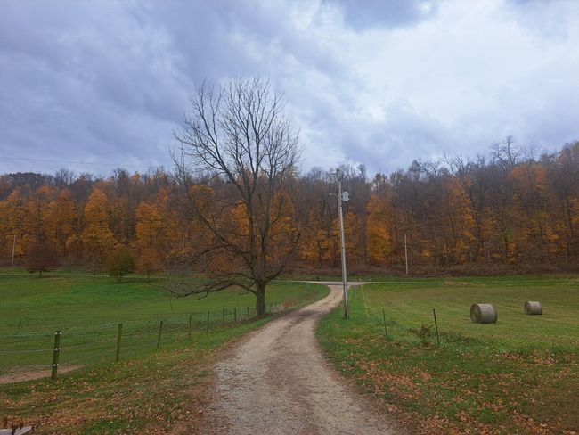 9962 Weaver Rd, House other with 5 bedrooms, 3 bathrooms and null parking in Utica OH | Image 33