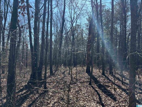 1-27 +/- Acres County Road 71, woodland, AL, 36280 | Card Image