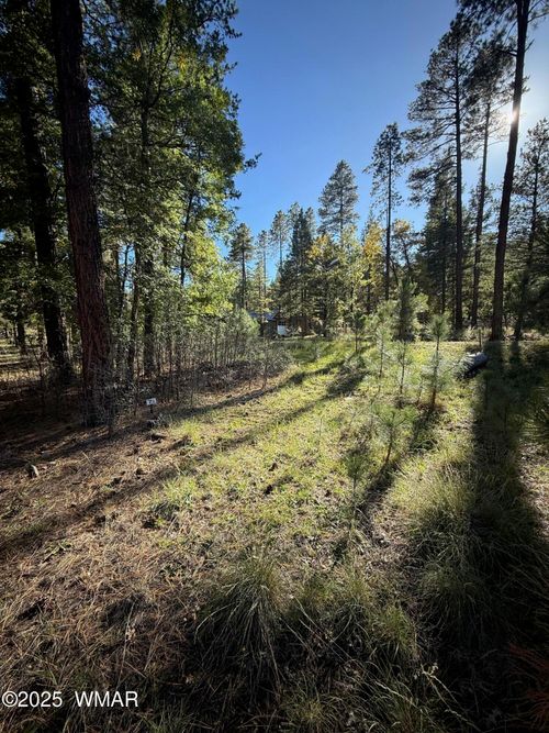 7 2190, Alpine, AZ, 85920 | Card Image