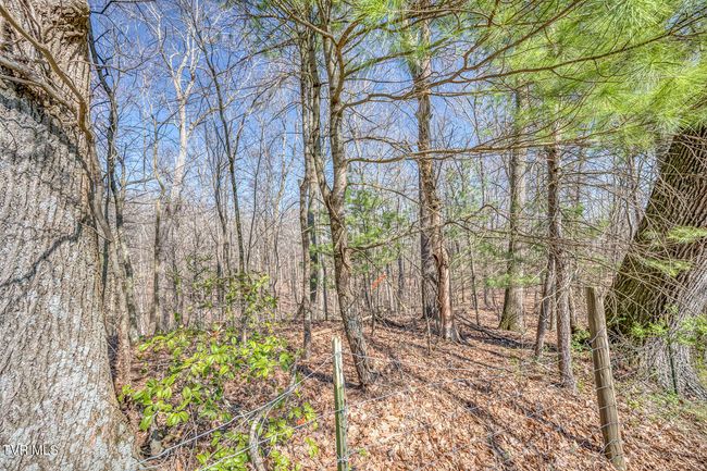 LOT-12 - Tbd Highway 44, Home with 0 bedrooms, 0 bathrooms and null parking in Bristol TN | Image 15