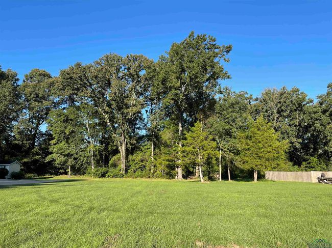 905 University Dr, Home with 0 bedrooms, 0 bathrooms and null parking in Carthage TX | Image 5