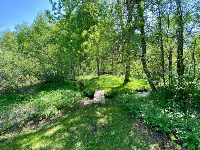 Misner Path to picnic area.jpg | Image 35