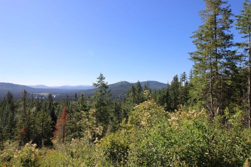 XXX Buck Creek Rd, Newport, WA, 99156 | Card Image