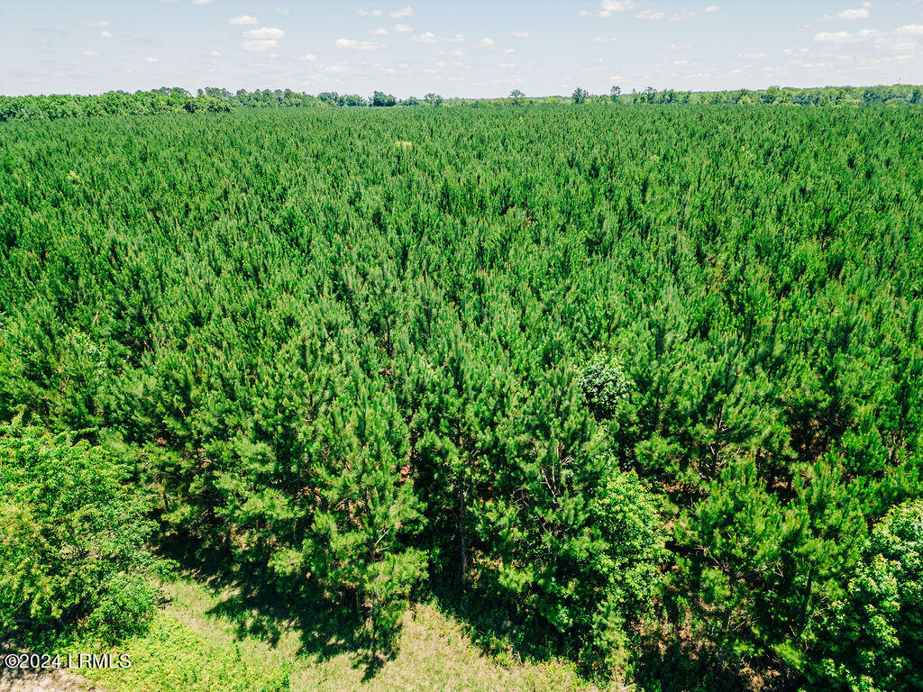 Land in Islandton 4