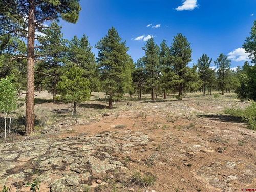 22 Church Creek Cir, South Fork, CO, 81154-9766 | Card Image