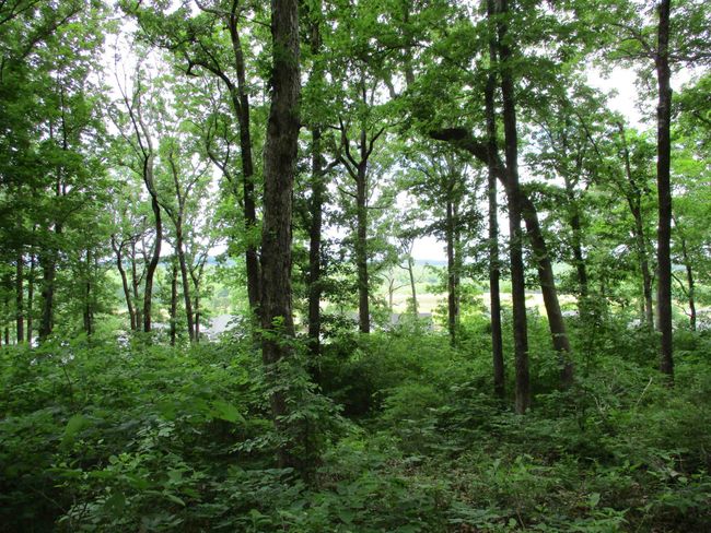 86 Adam Loop, Home with 0 bedrooms, 0 bathrooms and null parking in Bath Springs TN | Image 18