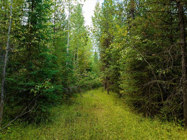 775 Trail Creek Rd, Home with 0 bedrooms, 0 bathrooms and null parking in Polebridge MT | Image 15