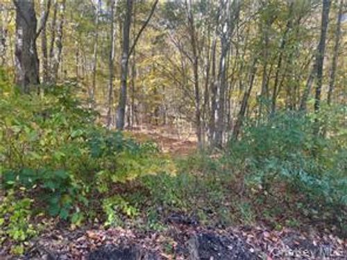 0 Budd Ln, Millerton, NY, 12546 | Card Image