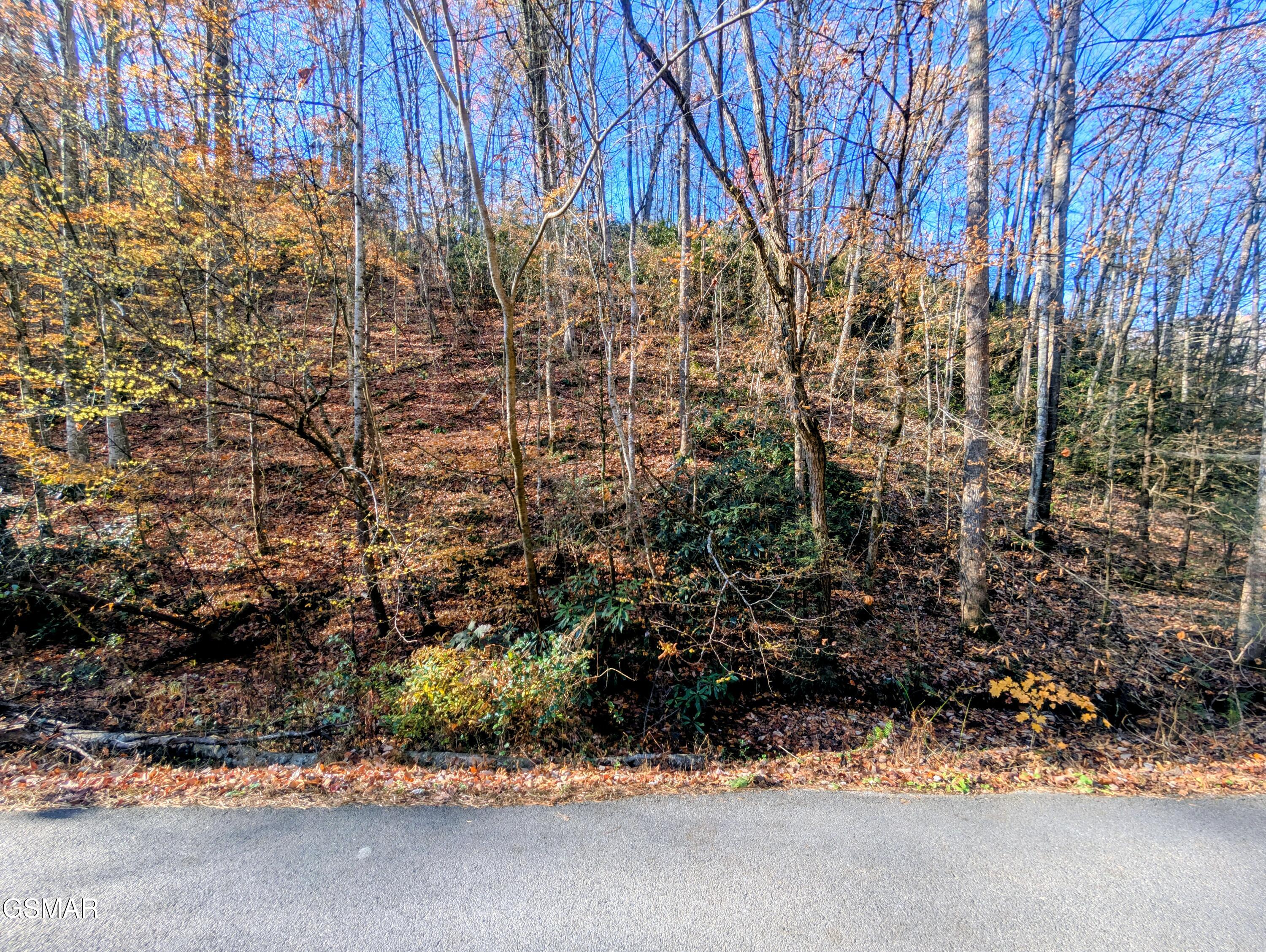 Land in Sevierville