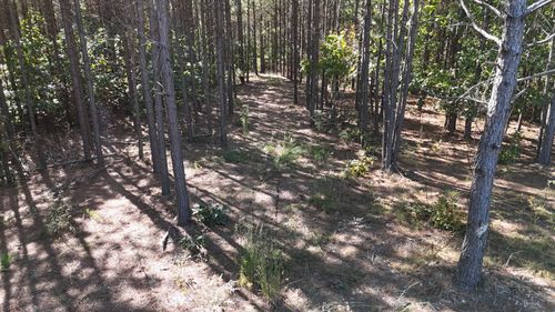 111 Hillbrook Dr, Hohenwald, TN, 38462 | Card Image