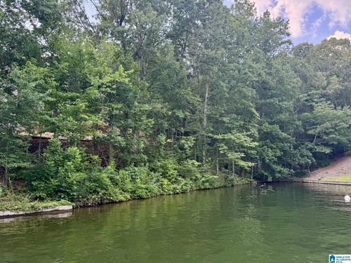 42-0 County Road 897, Wedowee, AL, 36278 | Card Image