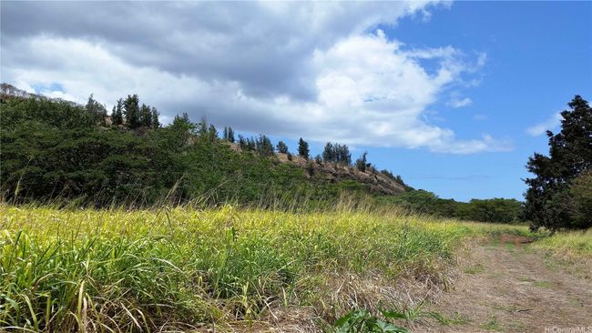 Great wind flow for cool breezes. Total sun exposure for solar power and great farming. | Image 16