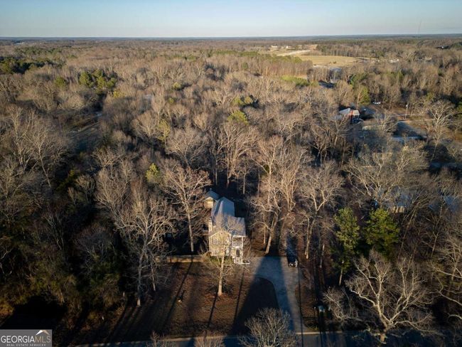 60 Live Oak Ln, House other with 3 bedrooms, 4 bathrooms and 2 parking in Comer GA | Image 35