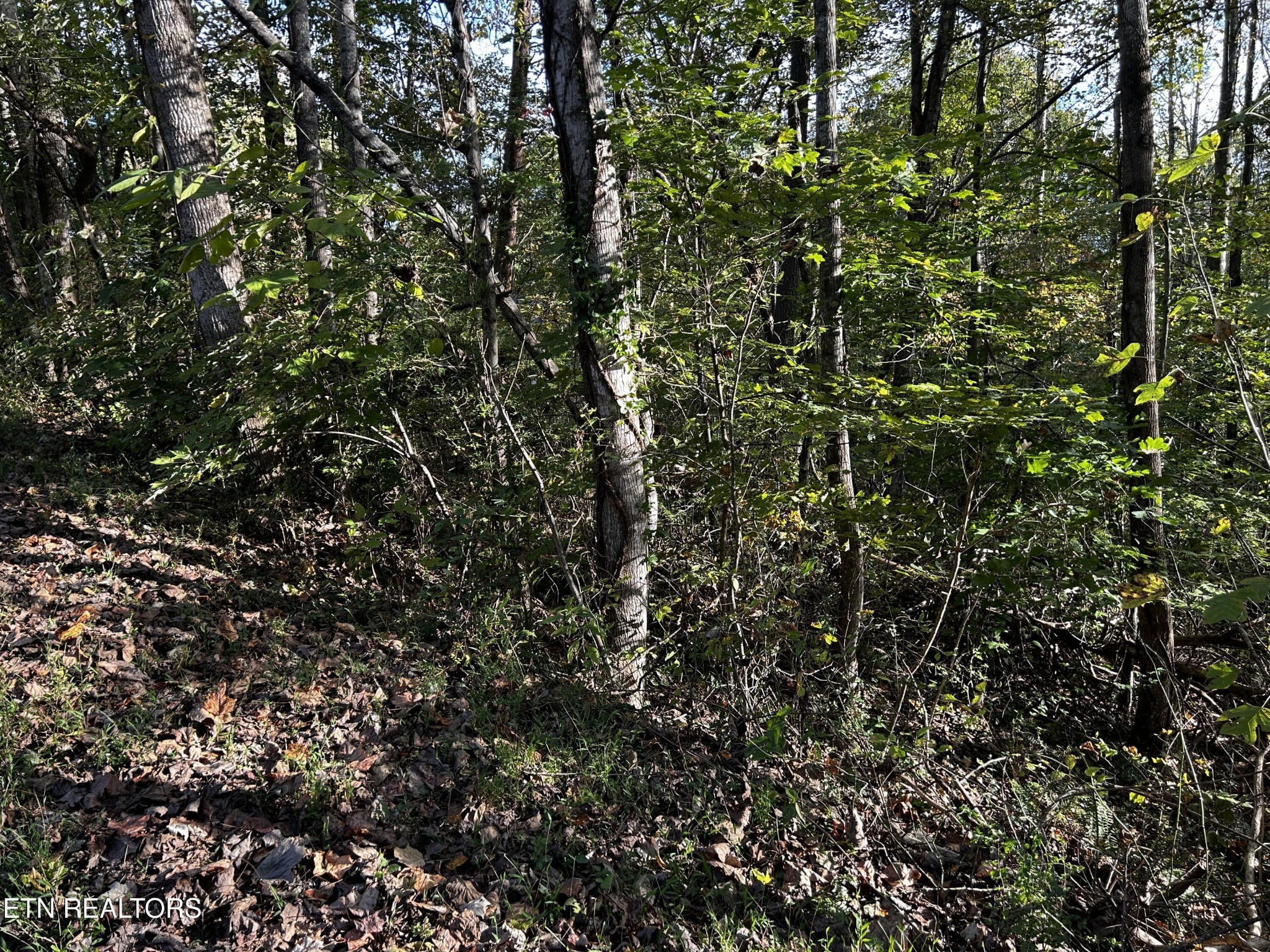 Land in Clinton 4