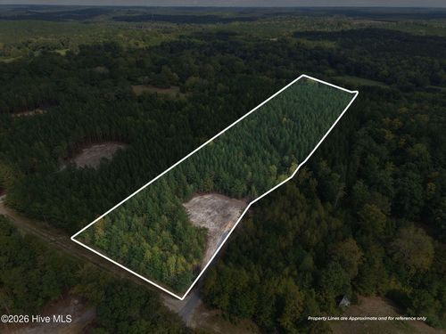 Lot 5 Capelsie Road, Candor, NC, 27229 | Card Image