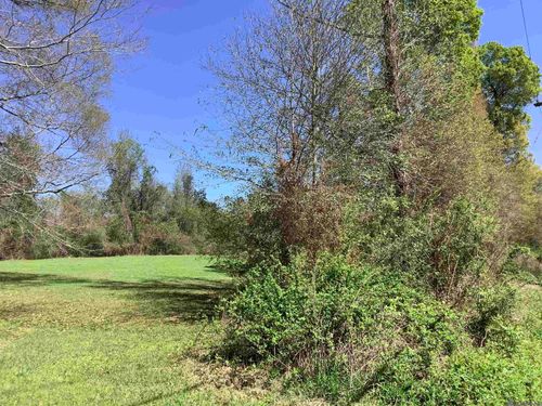 19.4 acres Fountain Young Rd, Pine Grove, LA, 70453 | Card Image
