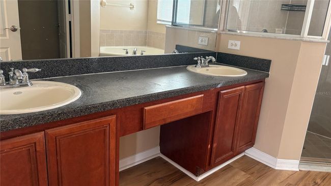 20050 Nob Oak Ave, House other with 4 bedrooms, 3 bathrooms and null parking in TAMPA FL | Image 12
