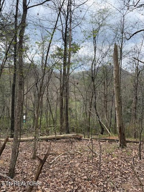 151 Hennessey Mtn / Brisk Way, Cosby, TN, 37722 | Card Image