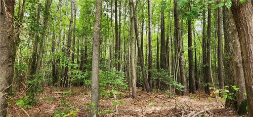 39.14.1 Hudgins Lane, Susan, VA, 23163 | Card Image