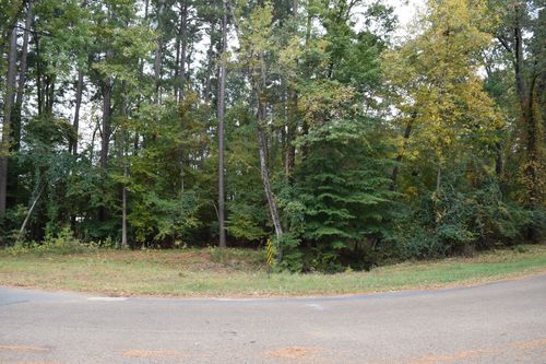 0 Chrislo Dr, Minden, LA, 71055 | Card Image