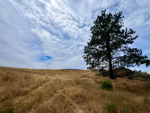 402 E Porak St, Sprague, WA, 99032-9640 | Card Image