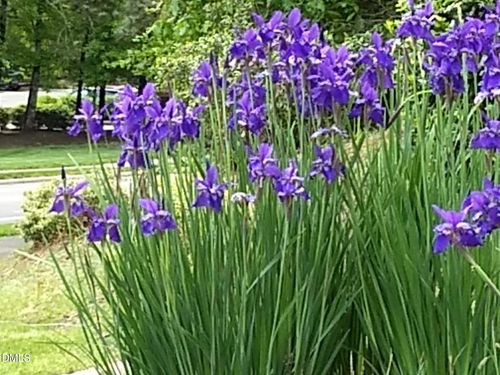 1114 Arborgate Cir, Chapel Hill, NC, 27514-6505 | Card Image