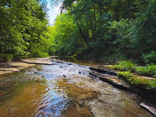 5 N Lick Creek Rd, Franklin, TN, 37064 | Card Image