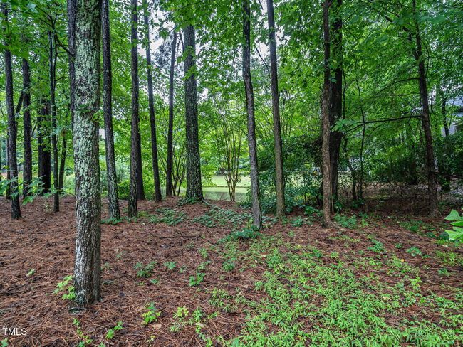 036-1280x960-back-yard | Image 36