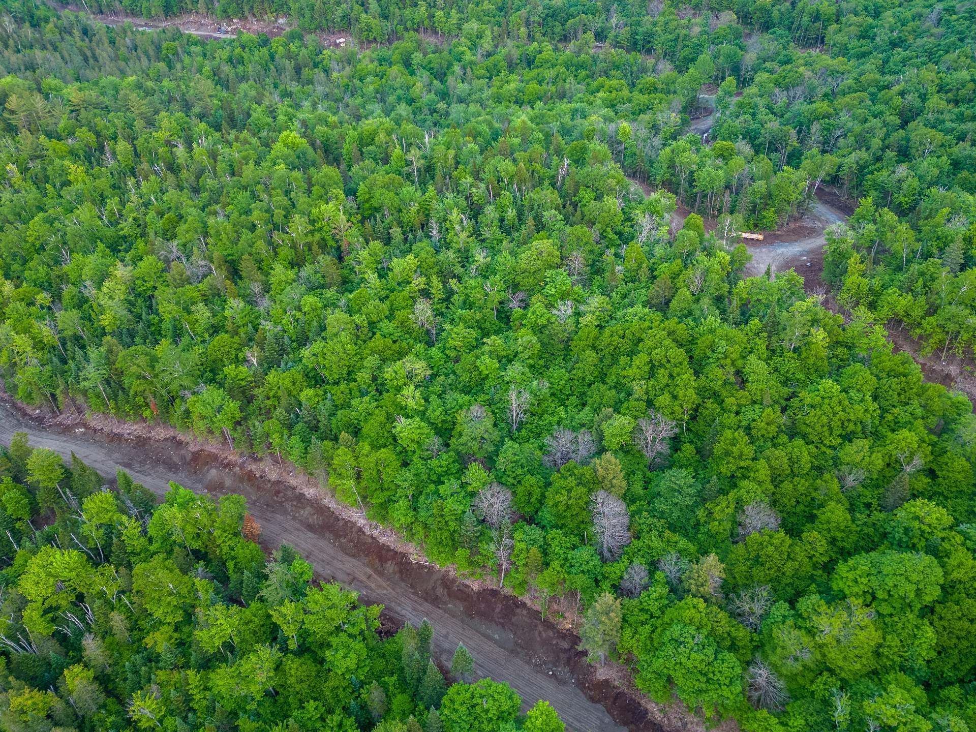 Land in Sainte-Adèle 4