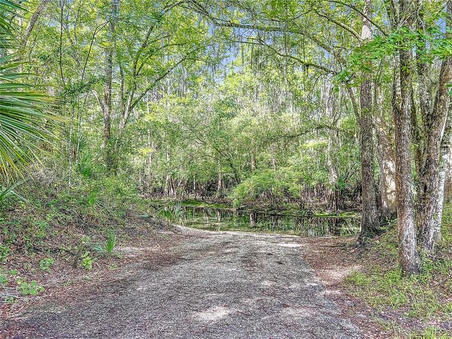 Boat launch area | Image 56