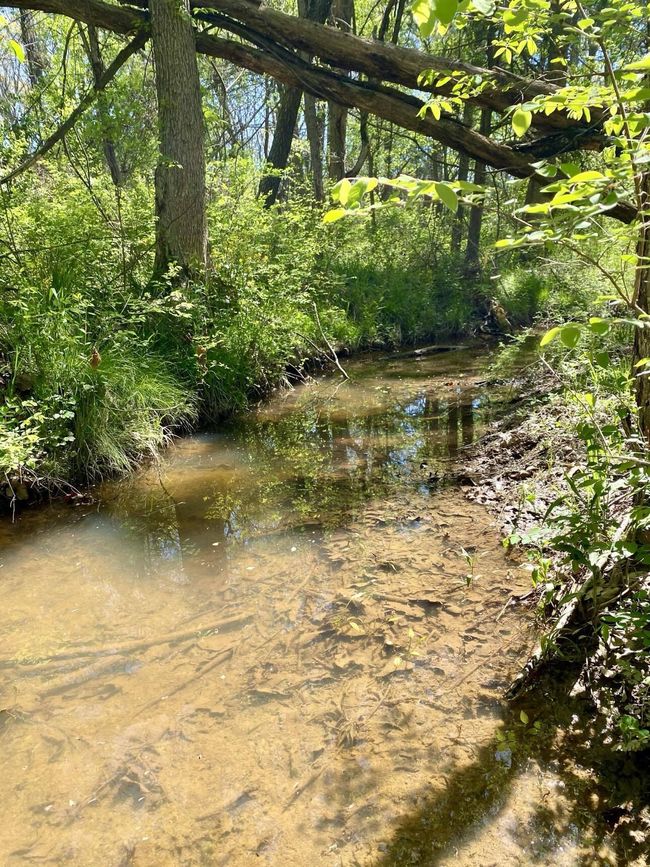 Seasonal Water | Image 6