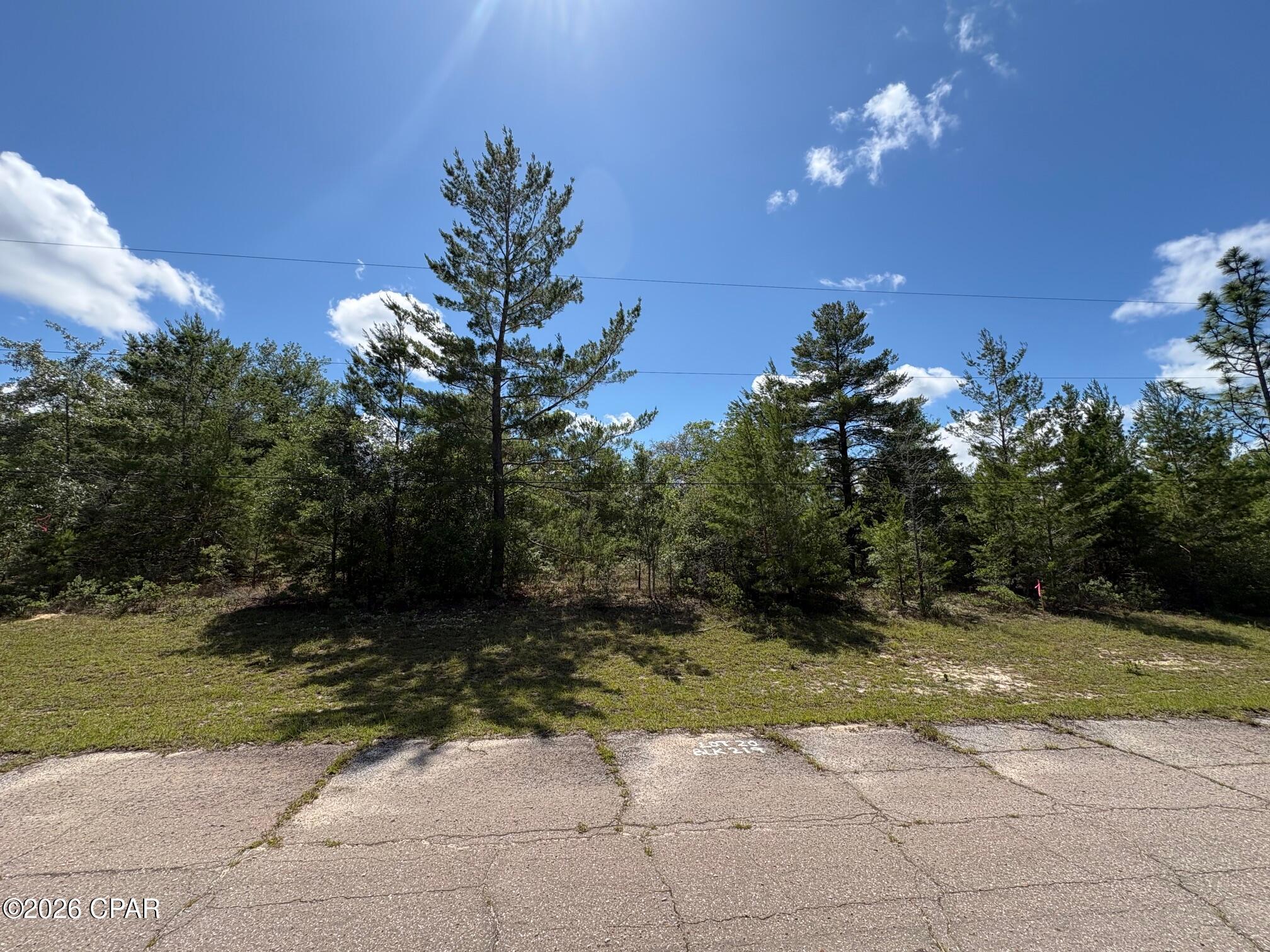 Land in Chipley 4