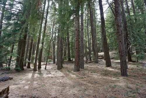 6 Pine Tree Ct, Blairsden, CA, 96103-9408 | Card Image