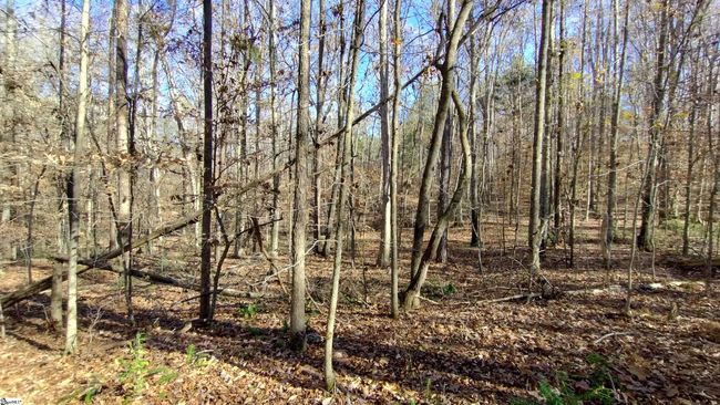 00A Sullivan Rd, Home with 0 bedrooms, 0 bathrooms and null parking in Laurens SC | Image 6