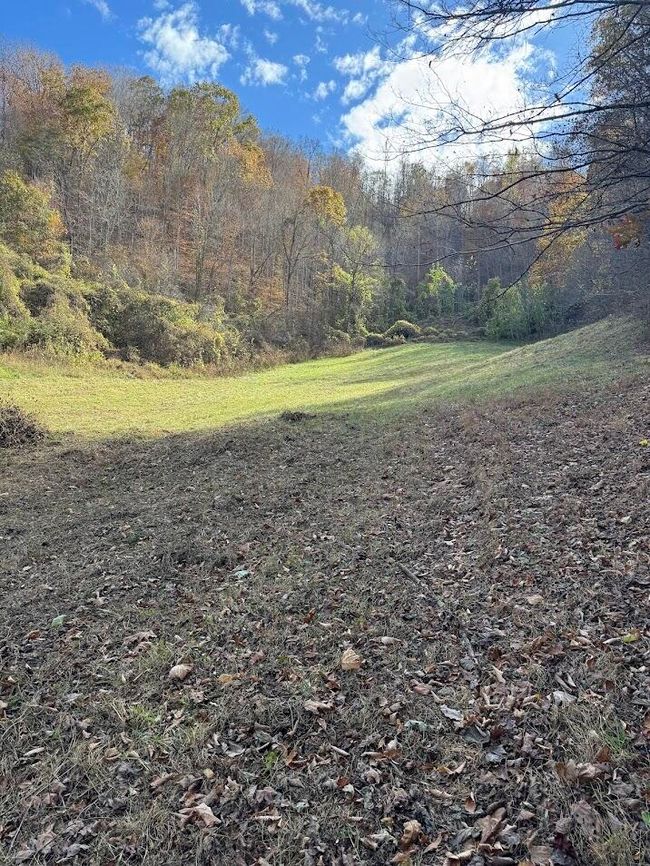 286 Willie Rd, House other with 2 bedrooms, 1 bathrooms and null parking in Thorn Hill TN | Image 4