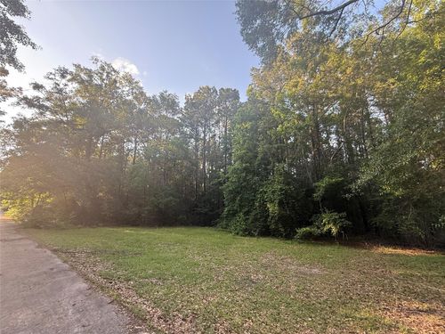 TBD Forse Dr, Woodville, TX, 75979 | Card Image