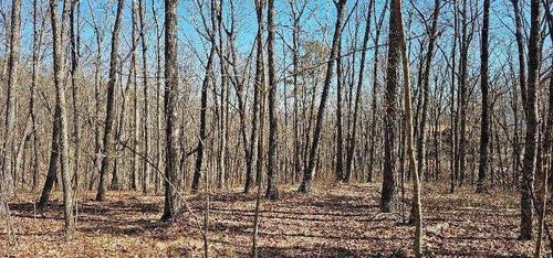 0 Bluff View Dr W, Dunlap, TN, 37327 | Card Image