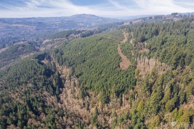 0 Ne Cedar Mist Rd, Home with 0 bedrooms, 0 bathrooms and null parking in AMBOY WA | Image 11