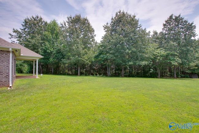 253 Waterbrook Ln, House other with 3 bedrooms, 3 bathrooms and null parking in Harvest AL | Image 43