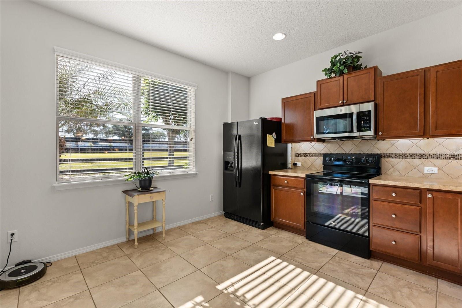 Residential in MOUNT DORA 3