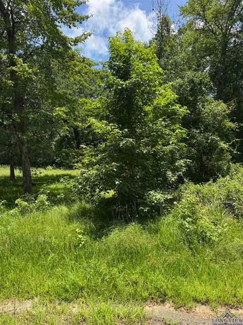 TBD Balboa Dr, Jefferson, TX, 75657 | Card Image