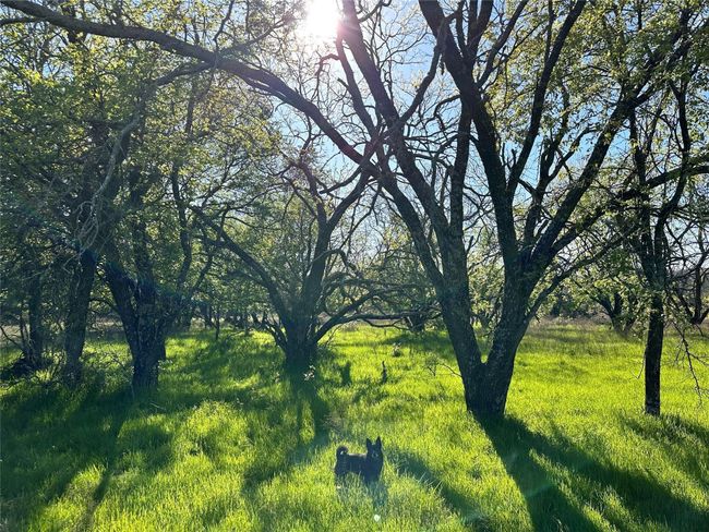 Lot 13 Cr 127, Home with 0 bedrooms, 0 bathrooms and null parking in Carlton TX | Image 30